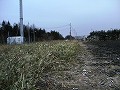 �A���e�i�̋߂��̔�